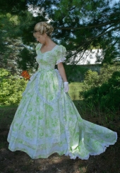 Mary Elizabeth Victorian Gown