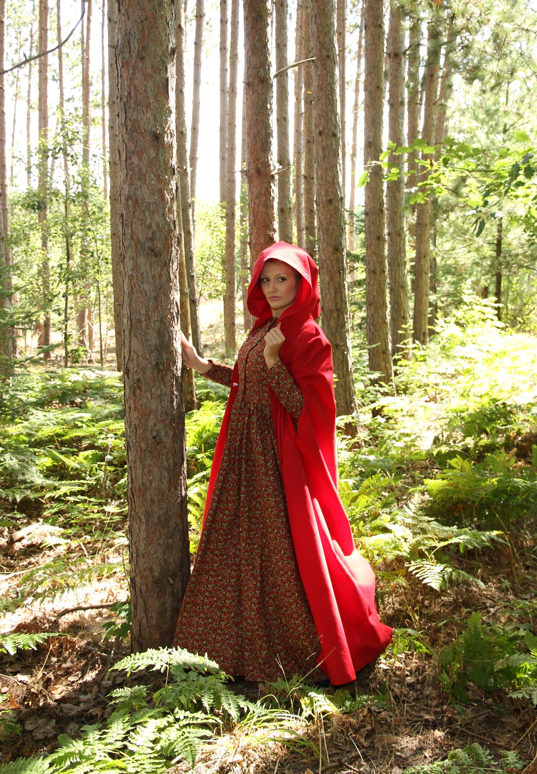 Little Red Riding Hood Recollections