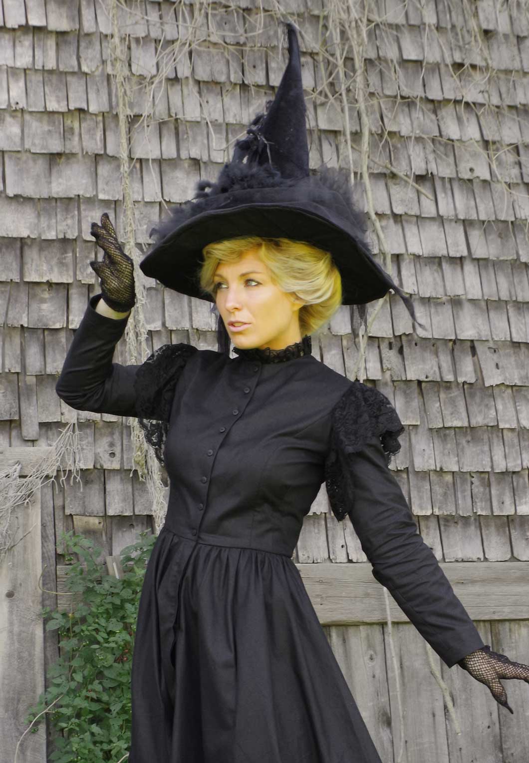 Victorian witch outlet dress