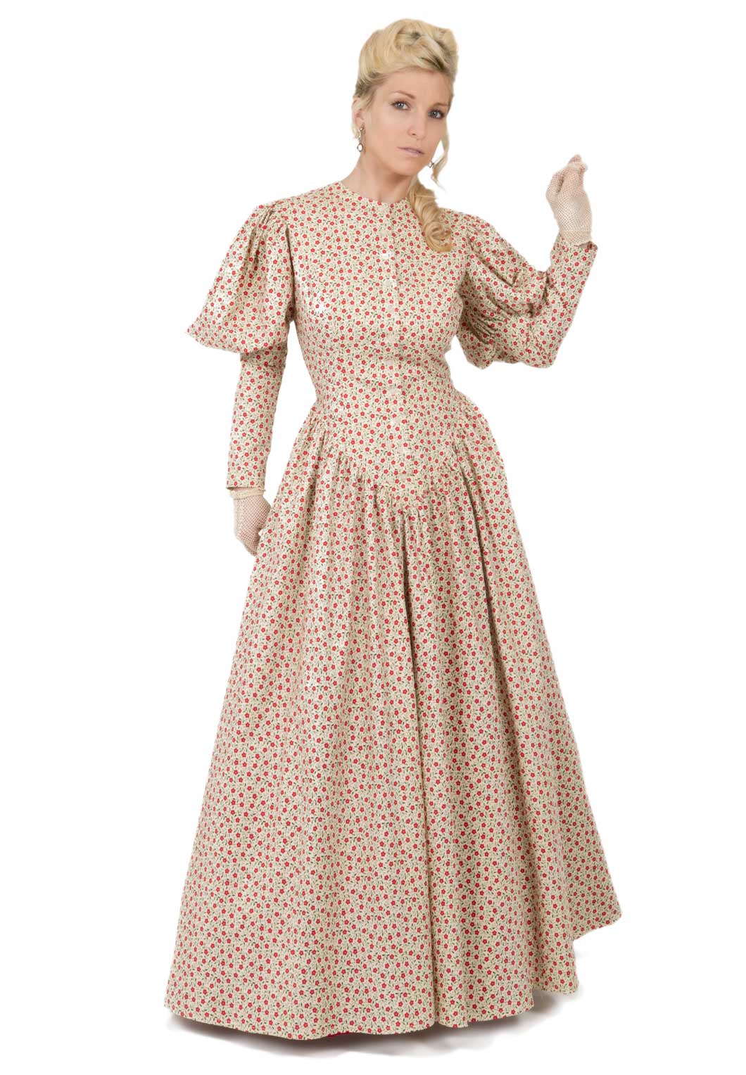 Ava Rose Victorian Style Dress