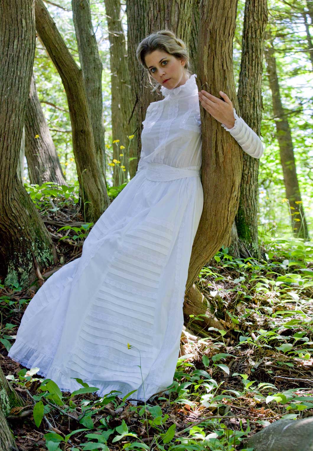 Delphinia Edwardian Gown on sale