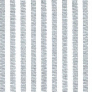 Silver Stripe