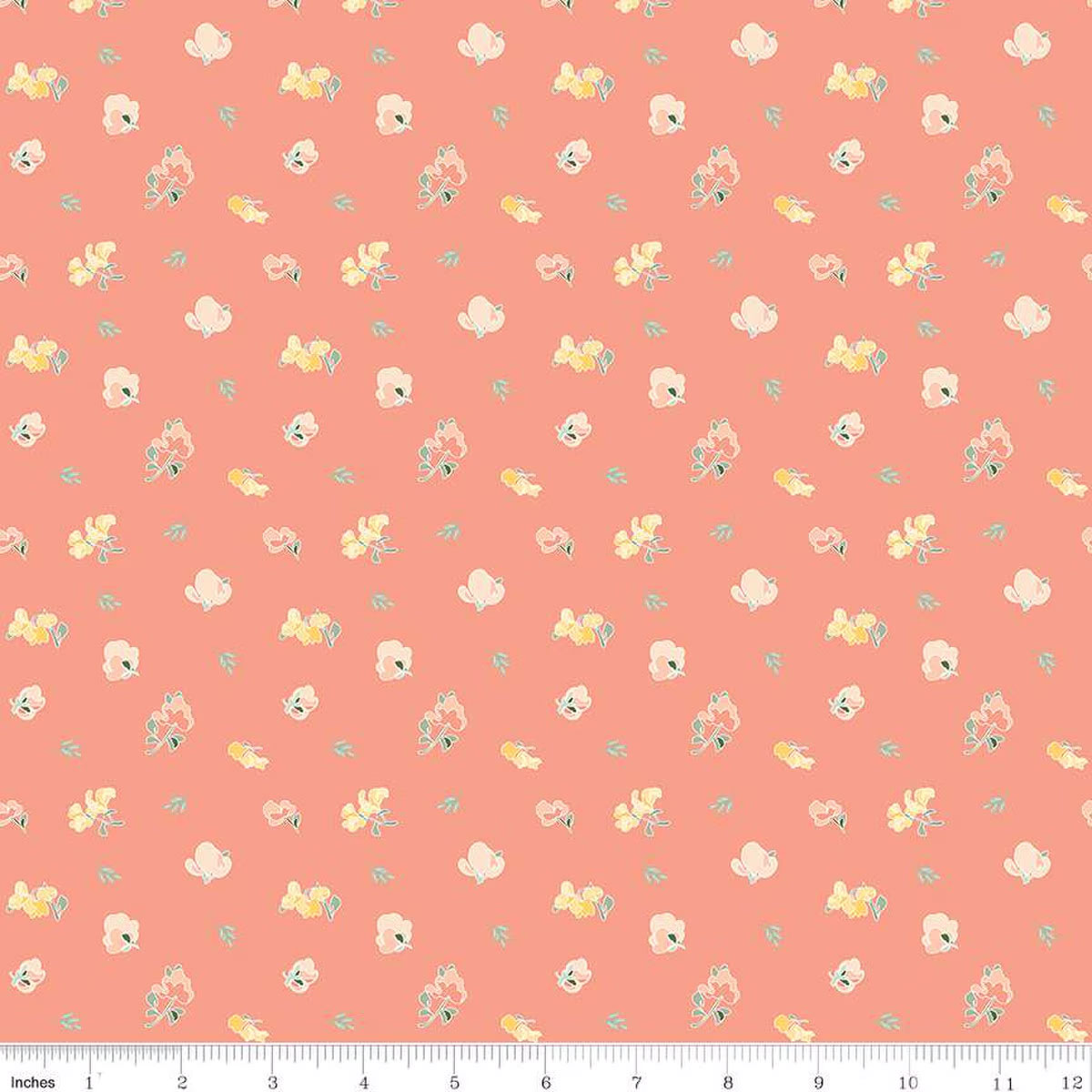 Apricot