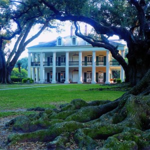 Oak Alley Plantation as seen from the oak tree canopy