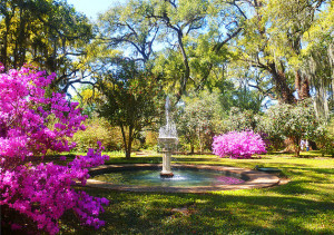 Rosedown Plantation formal garden
