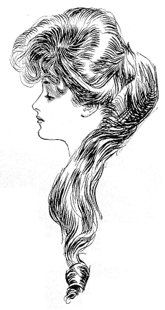 Woman: the Eternal Question by Charles Dana Gibson