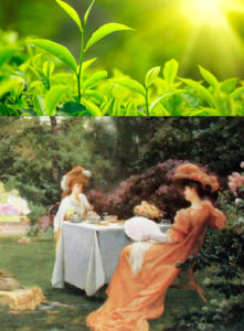 leaf tea and Victorian tea garden