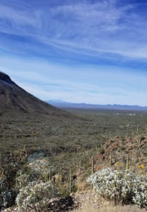 Gates Pass Overlook