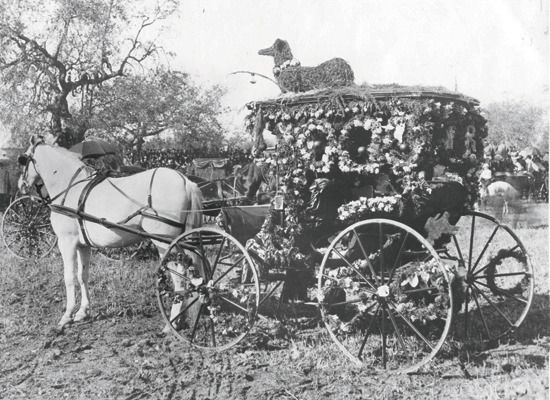 1893 winning carriage