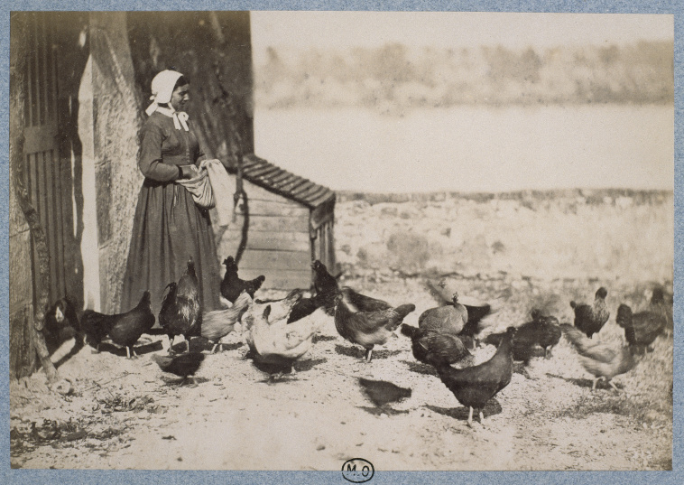 What Was Life Like for the Pioneer Women of the Wild West?