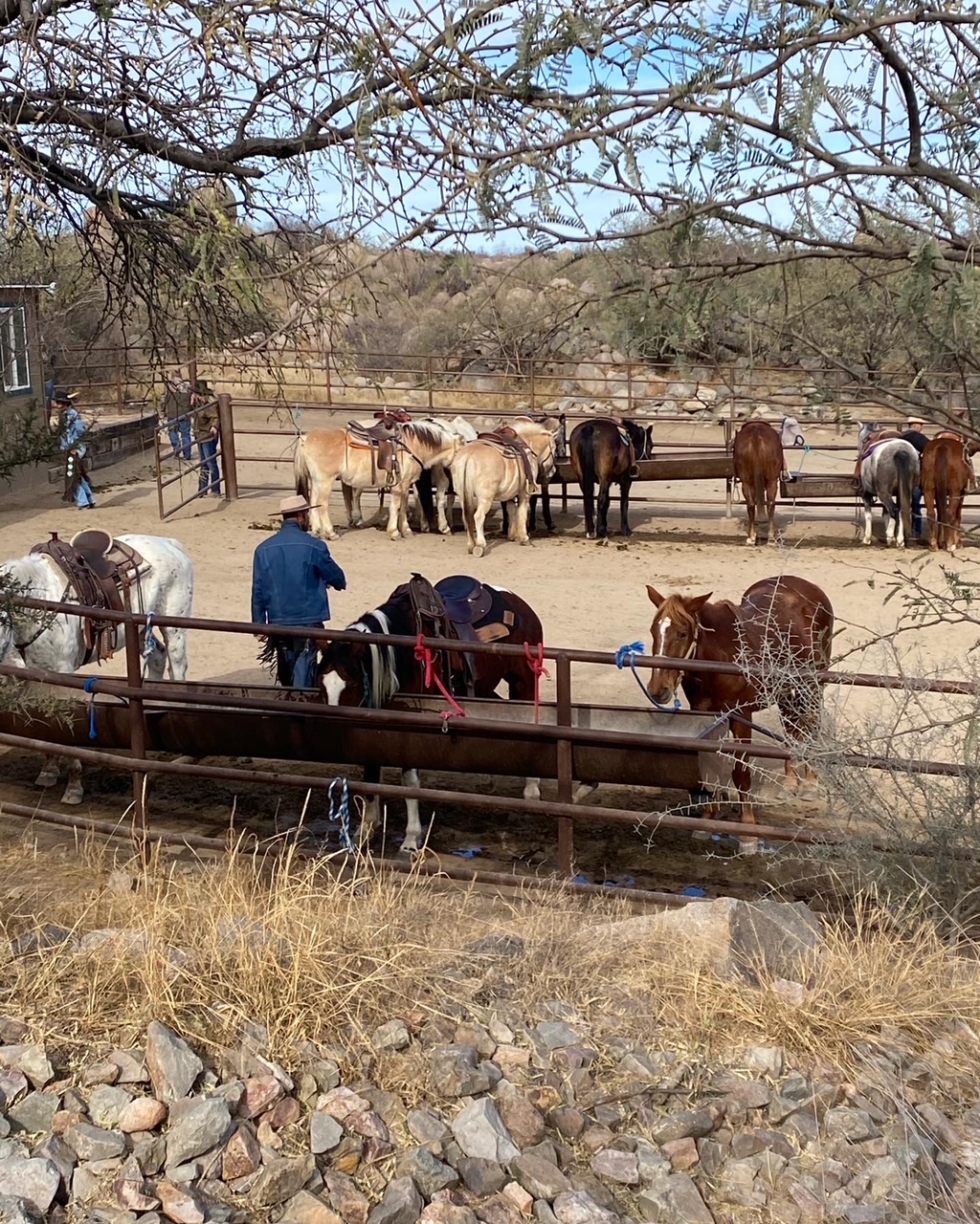 My Holiday at Tombstone Monument Ranch Recollections Blog